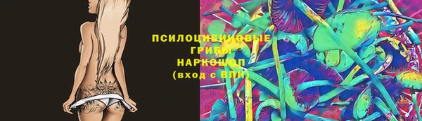 прущие крисы Нефтекумск