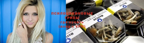 прущие крисы Нефтекумск