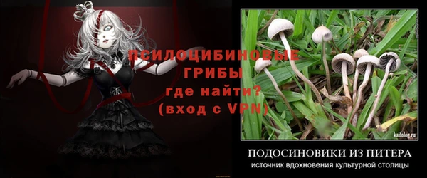прущие крисы Нефтекумск