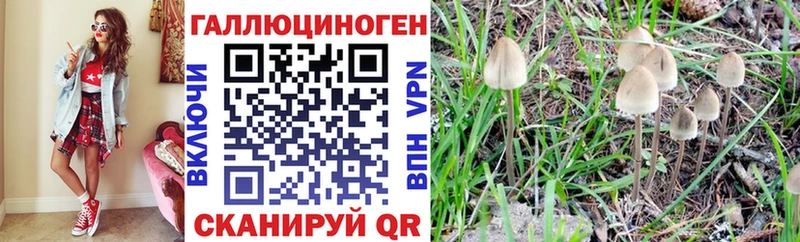 Купить закладки  Уржум  Псилоцибиновые грибы мицелий 